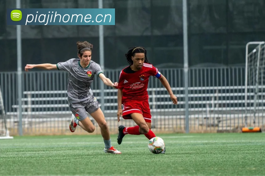 数据防护可视化